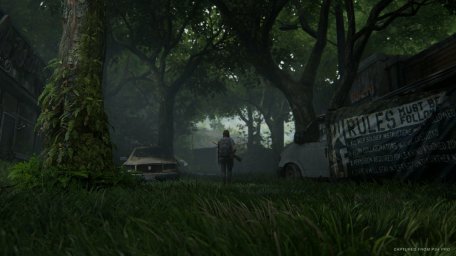 Скриншот из видеоигры The Last of Us: Part 2