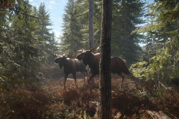 TheHunter: Call of the Wild теперь доступна и на Xbox One